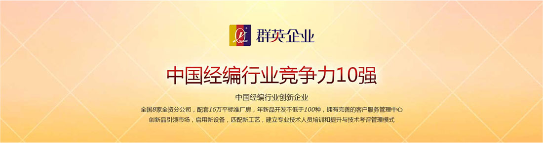 眾和網(wǎng)絡(luò)，網(wǎng)絡(luò)實(shí)戰(zhàn)營(yíng)銷(xiāo)案例，群英經(jīng)編